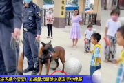 上班时间抢小朋友烤肠，警犬被通报引社会热议