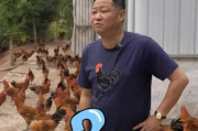 三德子赵亮携手打造德子土土鸡品牌，传承匠心精神