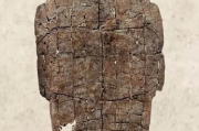 穿越时空的问候，3000年前商朝王子的一张请假条揭秘