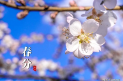 春分的分字之谜，揭秘春分节气中的独特含义