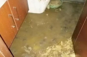 婚房变粪池，业主婚期临近，婚房惨遭粪水浸泡，崩溃不已！