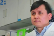 张文宏团队最新成果发布，新冠病毒研究取得重大突破，为全球抗疫注入新希望