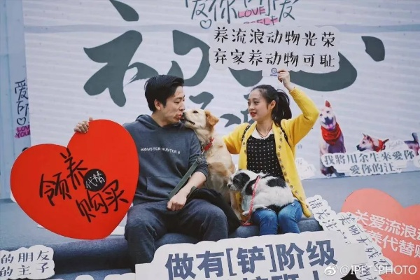 关晓彤暖心公益行动，呼吁关注流浪动物，倡导文明养宠