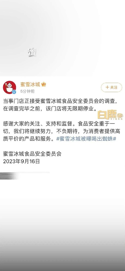 蜜雪冰城声援热潮背后的社会现象解析
