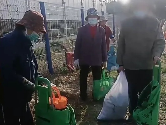 监控下的温情，老人带娃偷菜引发社会关注