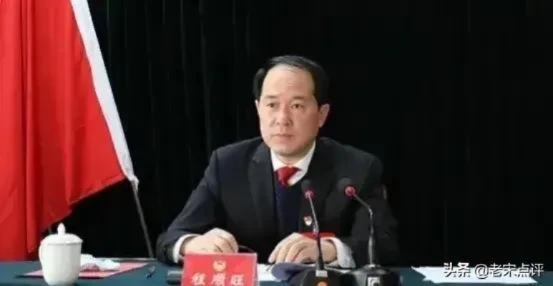 中央巡视组进驻后，童亚辉主动投案，揭开腐败案件新篇章