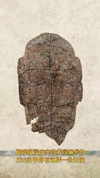 穿越时空的问候，3000年前商朝王子的一张请假条揭秘